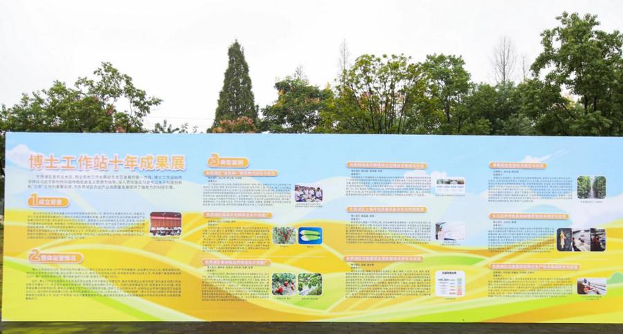 5182ad99-978b-4c0a-983b-f639bc0b5f52