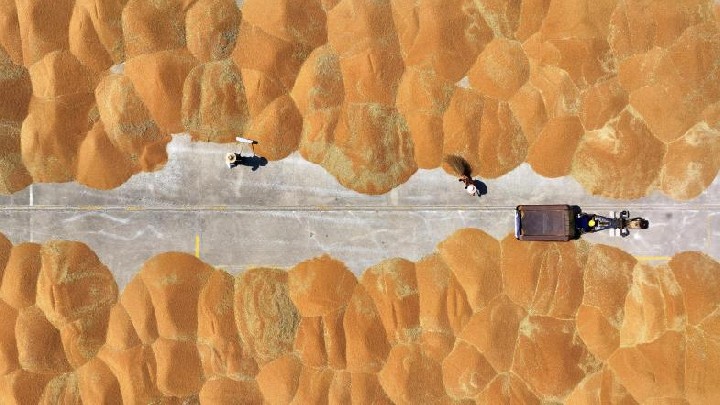 1710811119587735.jpg 76765a8cff7756f0a1e91d40a049bfd2_2024031719131888335.jpg