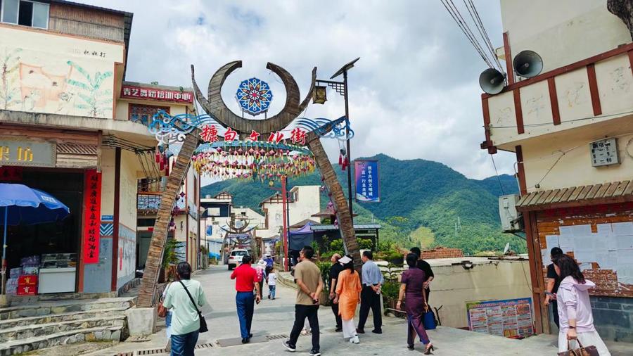 0b3f72efc9dcfe35fb5d5c411cd4008